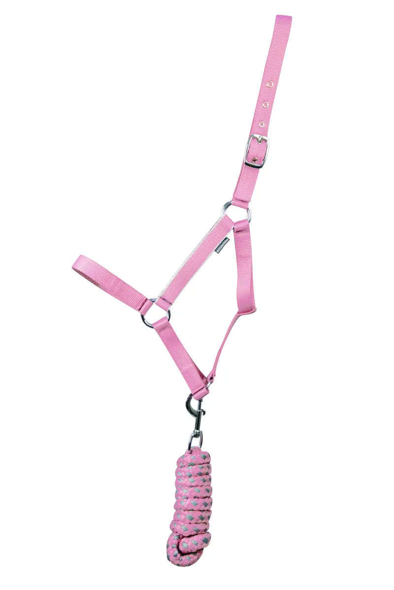 Hy Equestrian Synergy Head Collar and Lead Rope - Rose/Silver